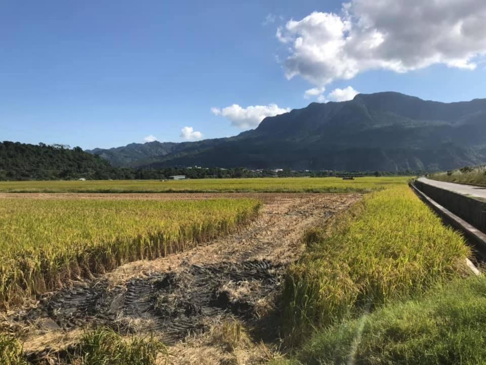 鹿野结米家旅舍 外观 照片