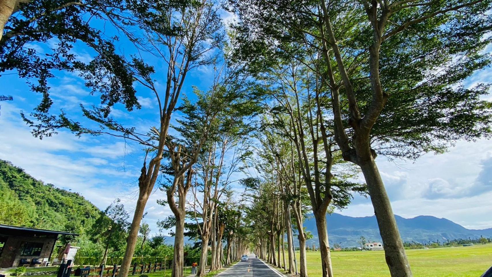 鹿野结米家旅舍 外观 照片